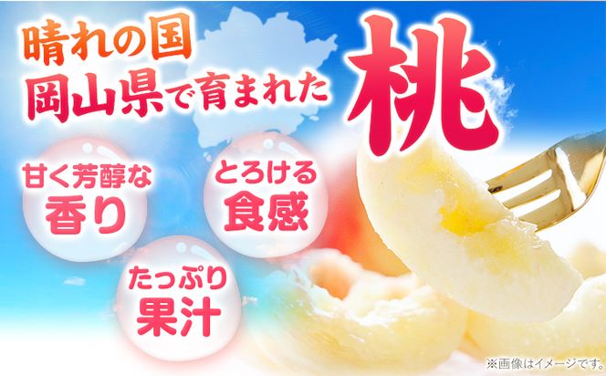 【先行予約】桃 岡山の桃 3玉 約750g 《2026年6月下旬-9月上旬頃出荷》 ご家庭用 訳あり 白桃 岡山 はくとう スイーツ フルーツ 果物 デザート 旬 モモ もも 先行予約 送料無料 果物 岡山県 笠岡市 清水白桃 白鳳 白麗 クール便---kasaoka_zsy_148_750---