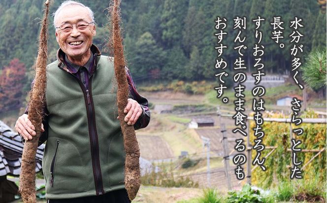 山芋(長芋) 2kg 西粟倉特産【数量限定】 c-FI-A02A