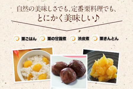 【先行予約】利平栗 熊本県御船町産限定 約2kg(3L-2Lサイズ)《9月上旬-10月上旬出荷》期間限定 野菜 予約 スイーツ きんとん 甘露煮 渋皮煮 栗ご飯 熊本県御船町 栗---mifune_lcl_214_2---