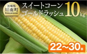 【令和8年発送】宮崎県産とうもろこし　朝どれ！守部さんちのゴールドラッシュ10kg 【 先行予約 数量限定 期間限定 とうもろこし トウモロコシ】 [C06414]