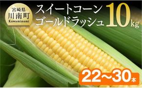 【令和7年発送】朝どれ！守部さんちのゴールドラッシュ10kg 【先行予約 数量限定 期間限定 とうもろこし トウモロコシ】 [D06412]