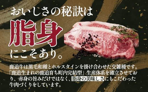 鹿追牛ロースステーキ（鹿追牛Dセット） 225g×2 SKA008