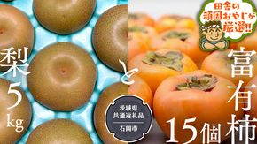 富有柿15個 と 梨5kg 【10月より発送開始】（茨城県共通返礼品：石岡市産） 詰め合わせ 果物 フルーツ 茨城県産 [BI457-NT]