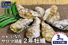 【予約：2025年10月下旬から順次発送】サロマ湖産 殻付き2年牡蠣 3kg サイズ不揃い ※牡蠣ナイフ付 ( カキ かき 3キロ 魚介 海鮮 貝 ふるさと納税 BBQ バーベキュー )【113-0015-2025】