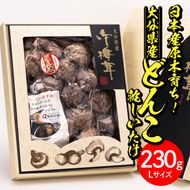 日本産原木育ち！大分県産どんこ乾しいたけ(計230g・Lサイズ) 九州産 大分県産 国産 しいたけ 椎茸 乾燥椎茸 乾燥シイタケ 乾燥しいたけ 干しいたけ 干シイタケ 原木しいたけ 佐伯市【HD132】【さいき本舗 城下堂】