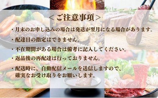 MA-02 肉ざんまい定期便 全6回 6か月 牛肉 焼肉 ステーキ スライス 鶏肉 ウインナー ハンバーグ