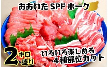 SPF豚いろいろ楽しめる2kgセット_1253R