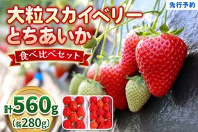 大粒スカイベリー＆新品種とちあいか 食べ比べセット《12月より順次出荷》｜いちご 苺 イチゴ フルーツ 果物 産地直送 [0563]