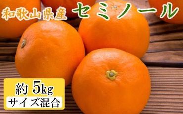 和歌山県産セミノールオレンジ約5kg(サイズ混合　秀品)★2025年4月頃より順次発送【TM146】XH92141