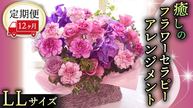 y錧}szy 12  z   t[ Zs[ AWg LLTCY   ͂ AW bNX tbV XgX [CT131ci]