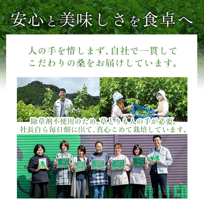 a626 国産！わくわく園純粋桑青汁いきいきセット(さつま桑青汁スティック合計157本)【わくわく園】桑の葉 青汁 桑 青汁 粉末青汁 有機栽培 有機JAS スティックタイプ 国産