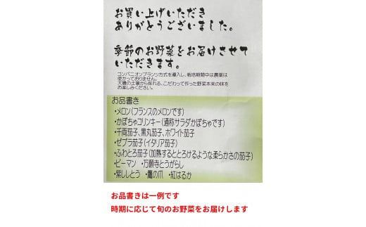 159-2024-02　【冷蔵便】季節のこだわり野菜セット 野菜詰め合わせ（春野菜 夏野菜 ハーブ など）