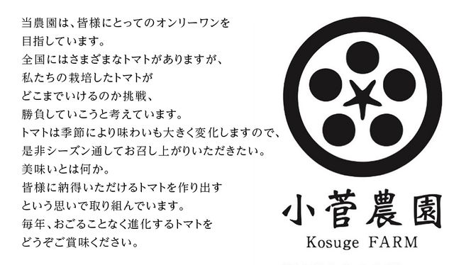 フルーツミニトマト 約1kg 【1月10日発送開始】 ミニトマト とまと リコピン フルーツトマト 野菜 [AY07-NT]
