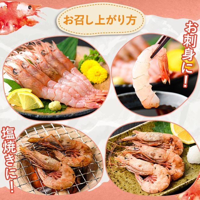 数量限定！タカエビ(約1kg・30～50尾)国産 えび 海老 海鮮 魚介 甘エビ 甘えび 冷凍 期間限定【松永青果】a-14-25