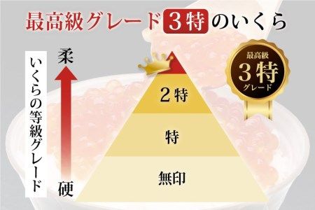 【孤独のグルメ コラボ★五郎大絶賛】最高級3特 国産 味付 いくら 宝壽 醤油漬 500g イクラ 海鮮 魚介類 醤油 ふるさと納税 ふるさとのうぜい ふるさと[かわむら家 宮城県 気仙沼市 20564368_CF02]