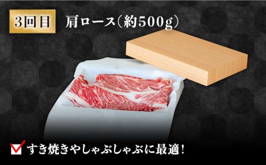 【豪華4回定期便】長崎 和牛 食べ比べ / ヒレ サーロイン ロース シャトーブリアン / 南島原市 / ながいけ [SCH045]