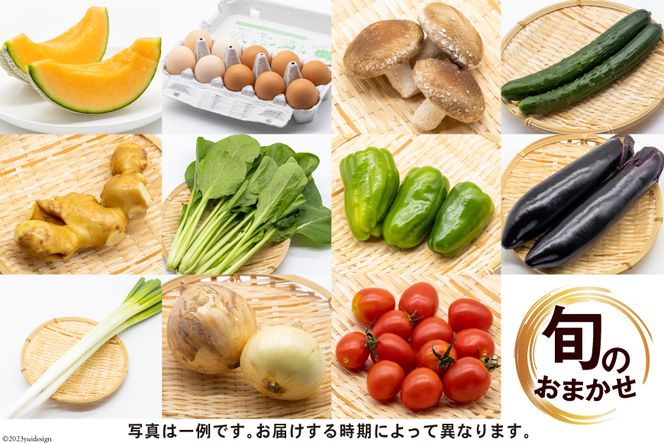 【CF01】AD158【定期便】野菜・フルーツ・卵　旬のお任せセットA　年3回お届け