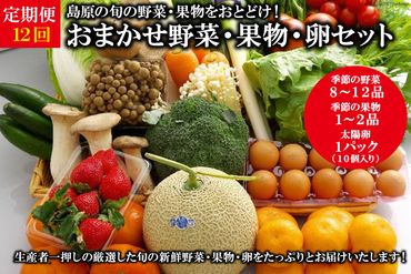 AF059【定期便】【12回】島原の旬の野菜・果物！おまかせ野菜・果物・卵セット