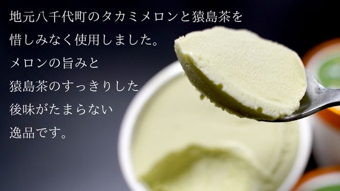 猿島茶使用 八千代町産 タカミメロン アイス 5個入 ふるさと納税 10000円 アイスクリーム あいす ギフト スイーツ お菓子 お祝い 詰合せ [AF061ya]