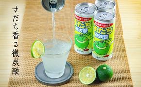 【CF】2ケースセット　すだち微炭酸　250ml×30本《30日以内に出荷予定(土日祝除く)》---sanagouchi_jat_13_60hn---