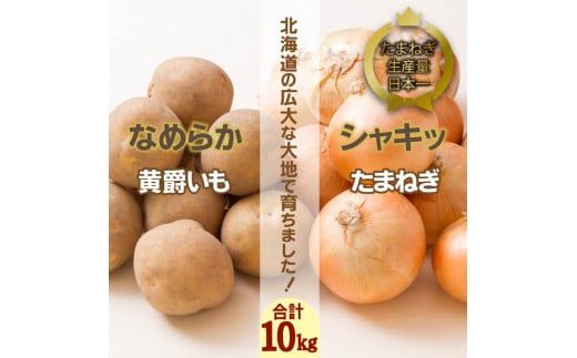 【予約：2024年10月中旬から順次発送】北海道 JAきたみらい「黄爵(とうや)いも・たまねぎセット」10kg ( 期間限定 野菜 玉葱 芋 セット 詰め合わせ )【005-0020-2024】