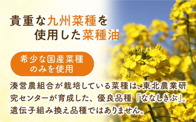 【全3回定期便】一番搾り 菜の花油 2本 + 菜の花 一番搾り ドレッシング 2本《築上町》【農事組合法人　湊営農組合】[ABAQ043]
