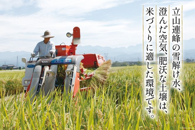 【6ヶ月定期便】【一等米100％】ばんどり米（コシヒカリ）玄米 10kg [農事組合法人東和 富山県 舟橋村 57050230]お米 美味しい こしひかり 富山 農家