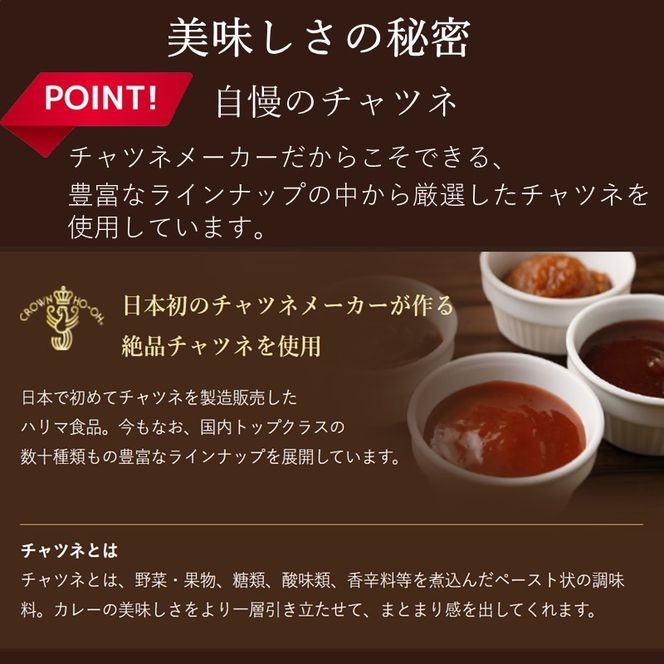 極美味ビーフカレー 4個セット＜レギュラー2個・マイルド2個＞《 おすすめ カレー 人気 レトルト 牛肉 ビーフカレー セット 詰め合わせ お取り寄せ グルメ 送料無料 》【2401I00801】