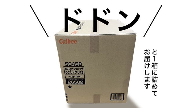 カルビー ポテトチップス BIGBAG 160g うすしお味 1ケース ( 12袋 ) ポテチ お菓子 おかし 大量 スナック おつまみ ジャガイモ じゃがいも まとめ買い 数量限定  [DA002us]