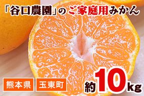 ご家庭用『谷口農園』のみかん★約10kg(2S-2Lサイズ) 予約受付中 フルーツ 旬★熊本県玉名郡玉東町 ミネラルたっぷり竹パウダーの土で育つ甘～いみかん♪ちょこっと訳あり《11月-12月出荷(土日祝除く)》---sg_wtanimkn_bc11_23_10000_10kg---