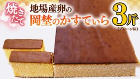 焼き立て！地場産卵の岡埜のかすてぃら3斤（プレーン味）かすてら カステラ 地場産 卵[AS002ci]