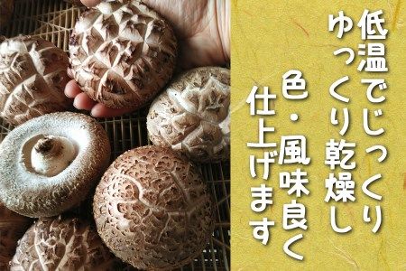 肉厚・厳選！原木育ちの上どんこ160g｜栃木県 矢板市 しいたけ 椎茸 産地直送  