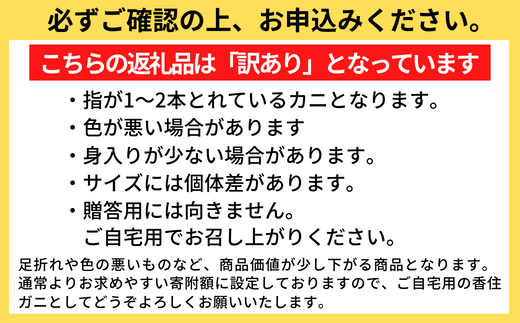 【 訳あり 浜茹で香住ガニ 計1.5㎏以上(500g×3匹)】冷蔵 チルド ボイル 茹で香住ガニ  紅ずわいがに 紅ズワイガニ ベニズワイガニ 強い甘み  兵庫県 香美町 香住 17-24
