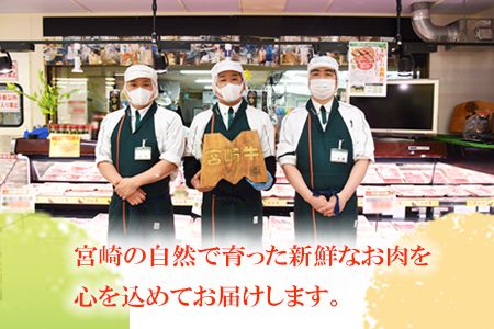 ＜豚・鶏肉のバラエティセット（重量約3.0ｋｇ）＞翌月末迄に順次出荷【a0143_sb】