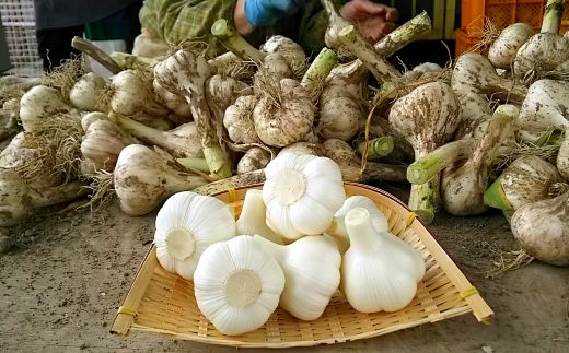 434.ごはんによく合う！にんにくみそ３個セット(A434-1)