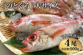 EF090「のどぐろ」大サイズ（200～250g） 4尾　＜煮付け・塩焼き用＞	