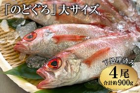 CF090「のどぐろ」大サイズ（200～250g） 4尾　＜煮付け・塩焼き用＞	