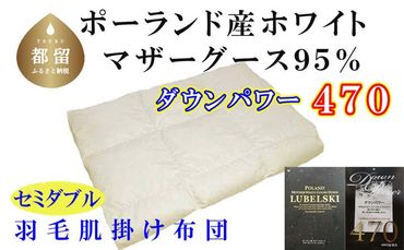 CK111[ポーランド産マザーグース95%]羽毛肌布団セミダブル170×210cm[ダウンパワー470]