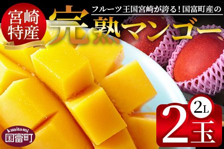 ＜宮崎特産！国富町産の完熟マンゴー 2玉（2L×2玉）＞2026年3月下旬～6月下旬迄に順次出荷【a0594_as】