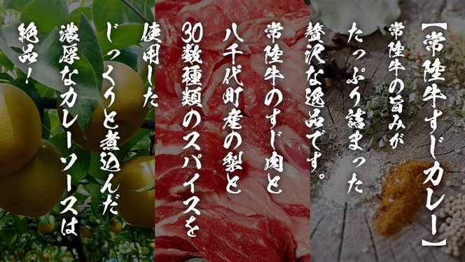 【 常陸牛 】 すじカレー 200g × 2 ・ ピリ辛 すじ煮込み 250g × 2 食べ比べ セット 常陸牛 カレー すじ煮込み 牛肉 時短 ふるさと納税 10000円 [AU105ya]