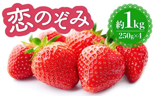 [2025年1月~3月に順次発送] 恋のぞみ いちご 250g×4パック 約1kg