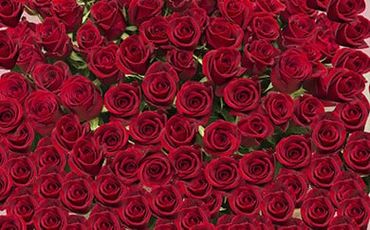 41-822　《記念日に届くお花シリーズ》赤バラの花束 365本「あなたが毎日恋しい」※配達エリア限定