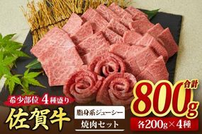 佐賀牛 希少部位 焼肉4点盛り合わせ【脂身系ジューシー】 800g （200gx4種） A5 A4【希少 国産和牛 牛肉 肉 牛 焼肉】(H085144)