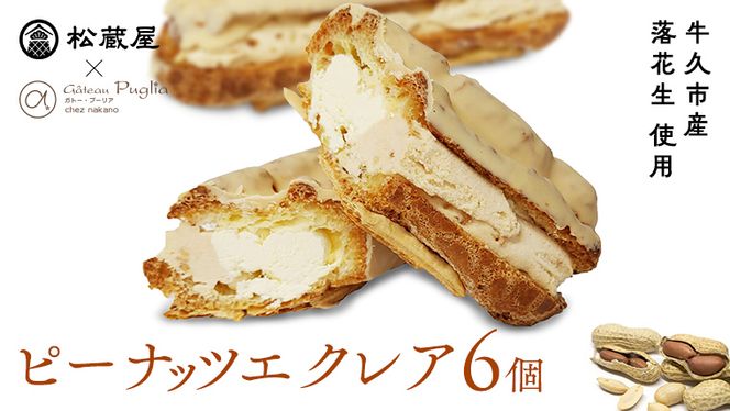 ピーナッツ エクレア 6個 甘い おいしい 美味しい ピーナツ スイーツ おうちカフェ お菓子 おやつ お取り寄せ 国産 茨城 特産品 [AR002us]