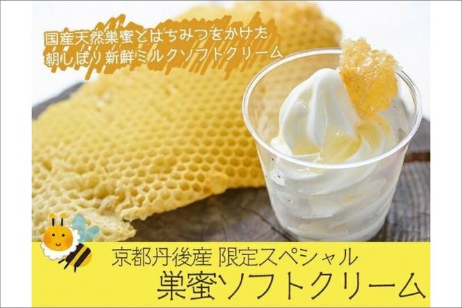 京都・丹後産 限定スペシャル巣蜜ソフトクリーム(120ml×5個入)　RM00017