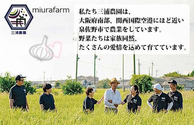 010B259 【先行予約】 数量限定 幻のたまねぎ 泉州黄玉ねぎ 10kg【新鮮 野菜 泉佐野産 茄子 やさい 高評価 数量限定】