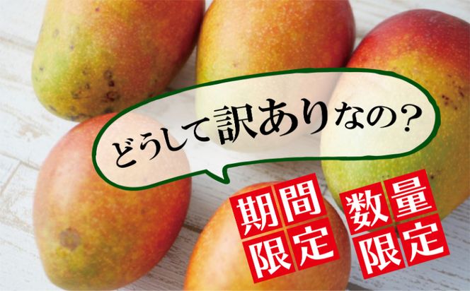 【訳あり・ご家庭用】アップルマンゴー（約2kg）＜2024年発送＞
