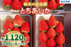 幸せを呼ぶハート型 栃木の新品種《とちあいか》280g×4P《12月より順次出荷》｜いちご 苺 イチゴ フルーツ 果物 産地直送 [0564]