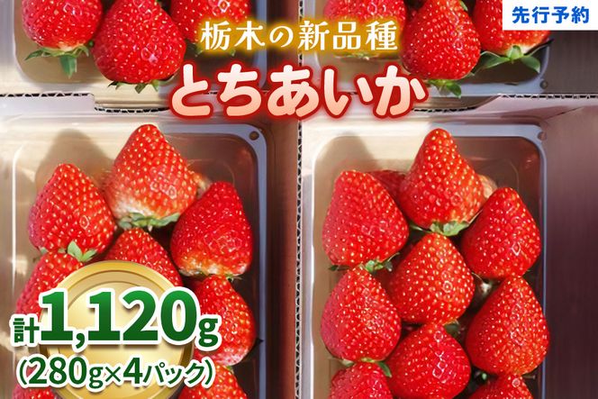 幸せを呼ぶハート型 栃木の新品種《とちあいか》280g×4P《12月より順次出荷》｜いちご 苺 イチゴ フルーツ 果物 産地直送 [0564]