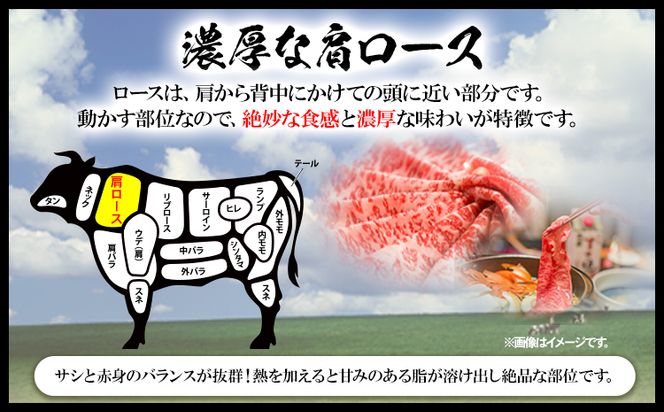 黒毛和牛 A5等級 肉 和牛 国産 牛肉 牛ロース すき焼き しゃぶしゃぶ 肩ロース 薄切り 1kg ウィズフラワーホールディングス《30日以内に出荷予定(土日祝除く)》岡山県 浅口市 冷凍 送料無料---124_f154_30d_23_33000_1kg---